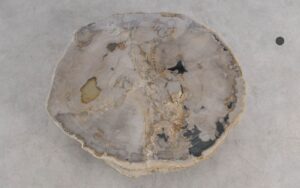Salontafel versteend hout 59389