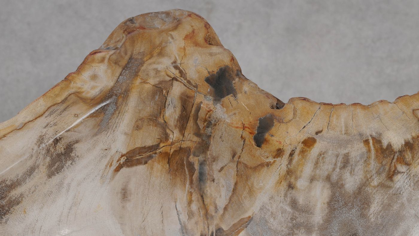 Wastafel versteend hout 56289 - Afbeelding 4