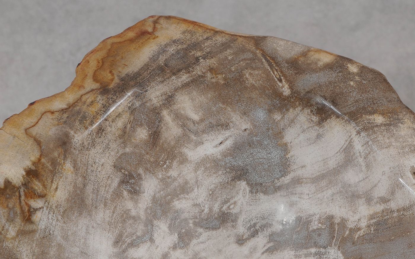 Wastafel versteend hout 56289 - Afbeelding 5