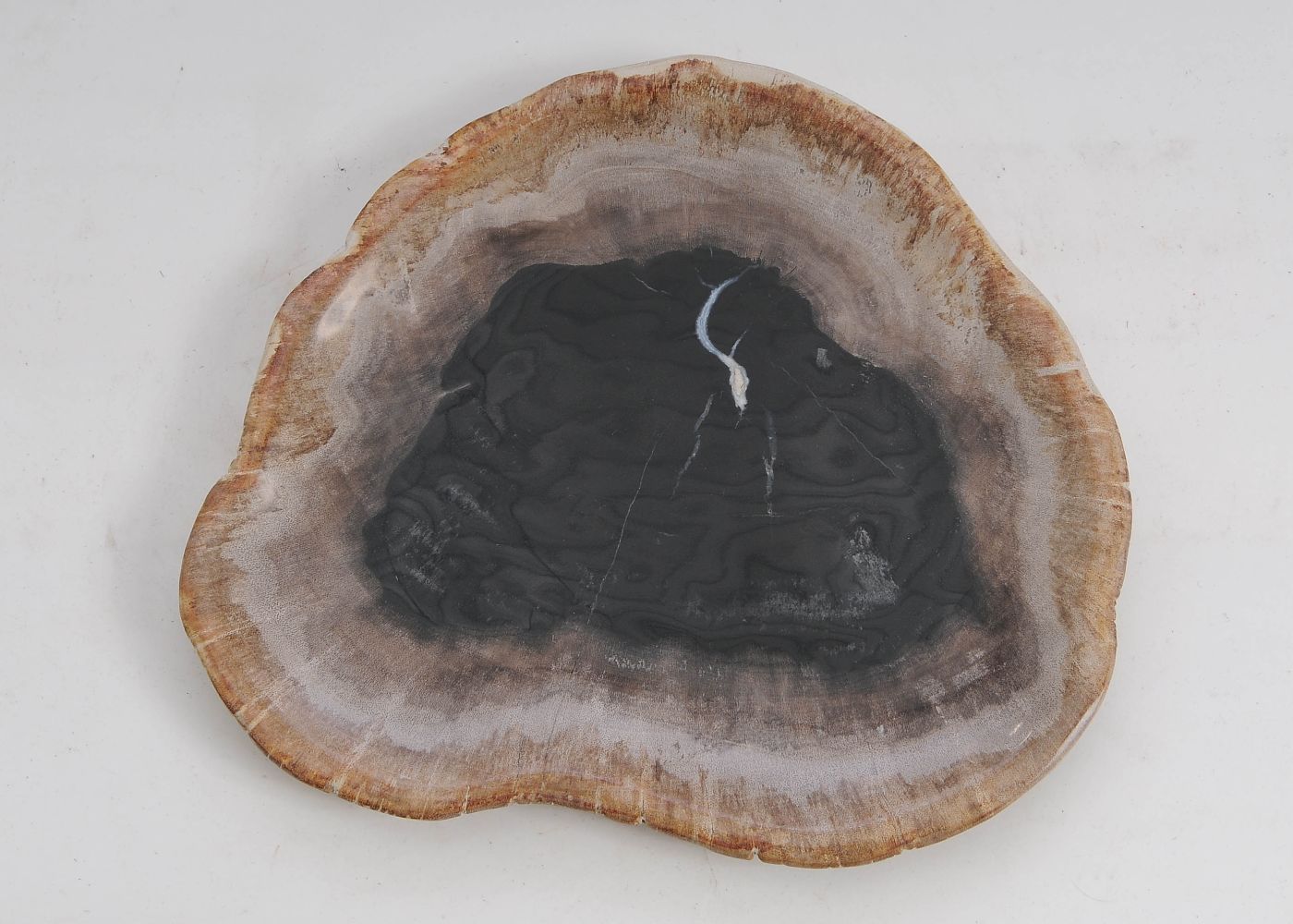 Bord versteend hout 57295