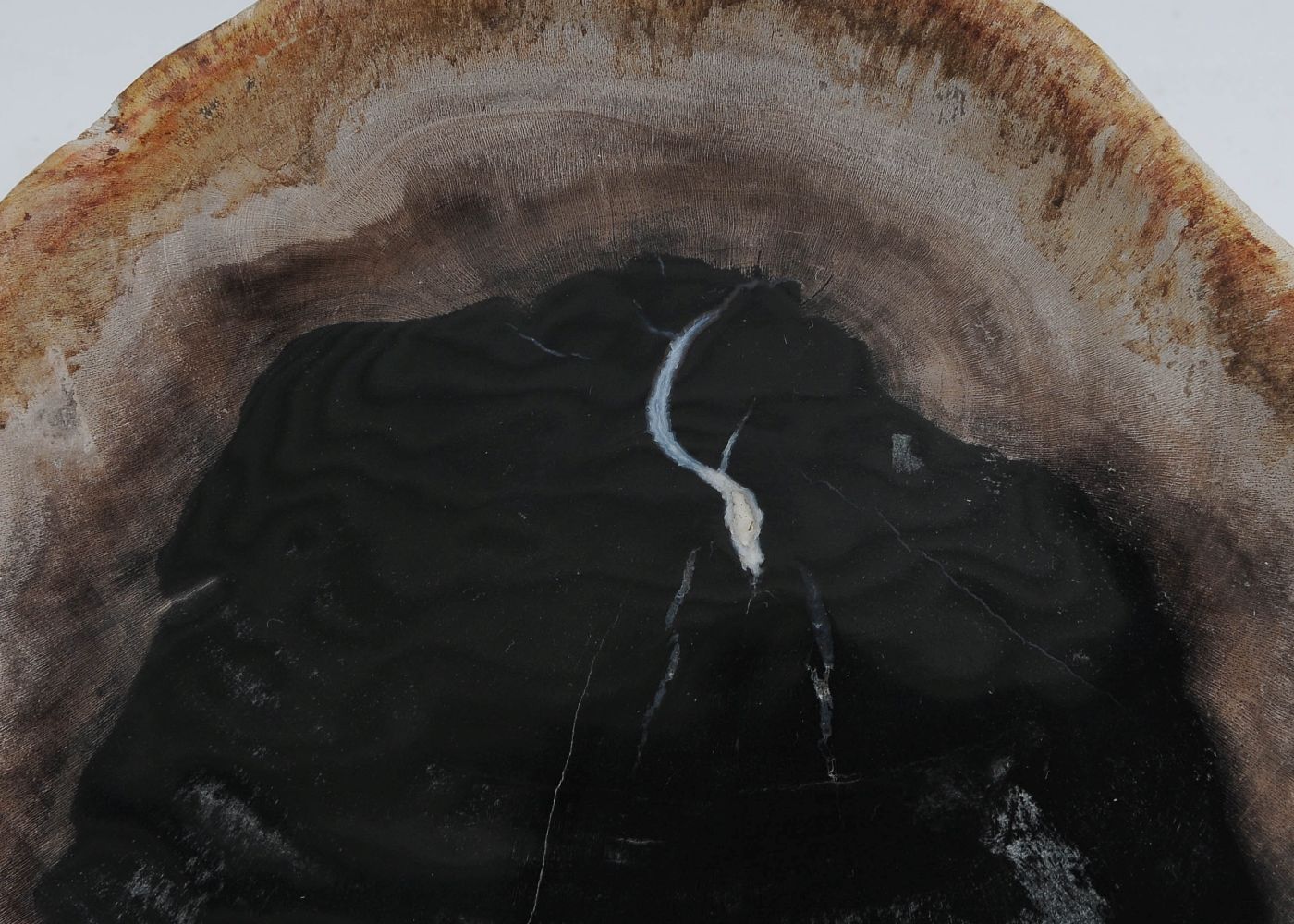 Bord versteend hout 57295 - Afbeelding 2