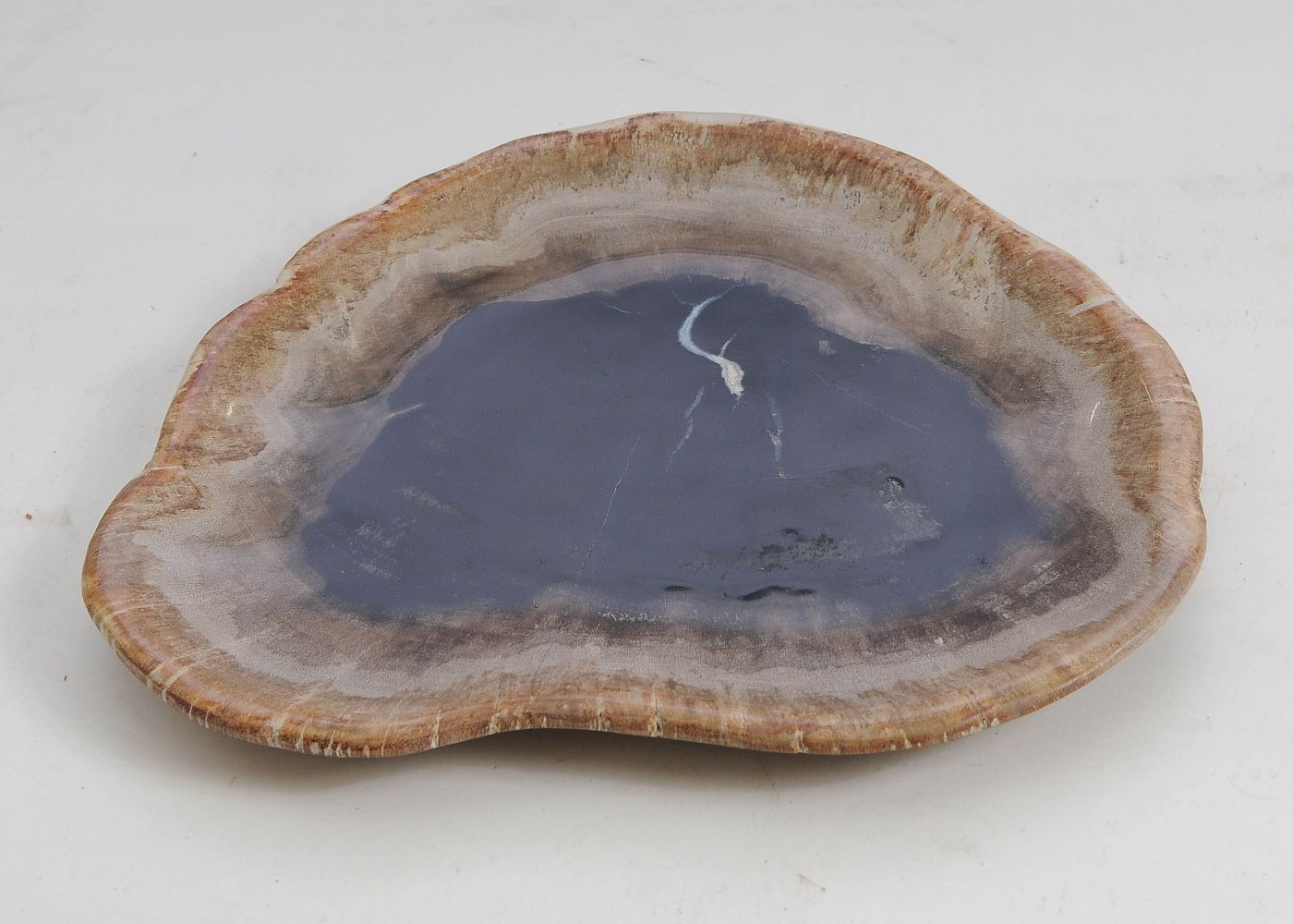 Bord versteend hout 57295 - Afbeelding 3