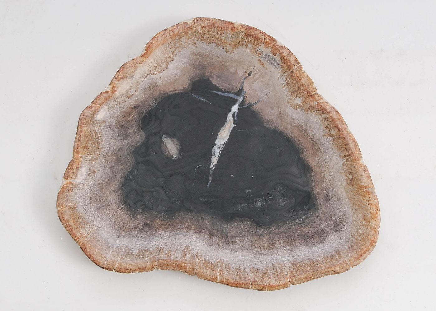 Bord versteend hout 57302