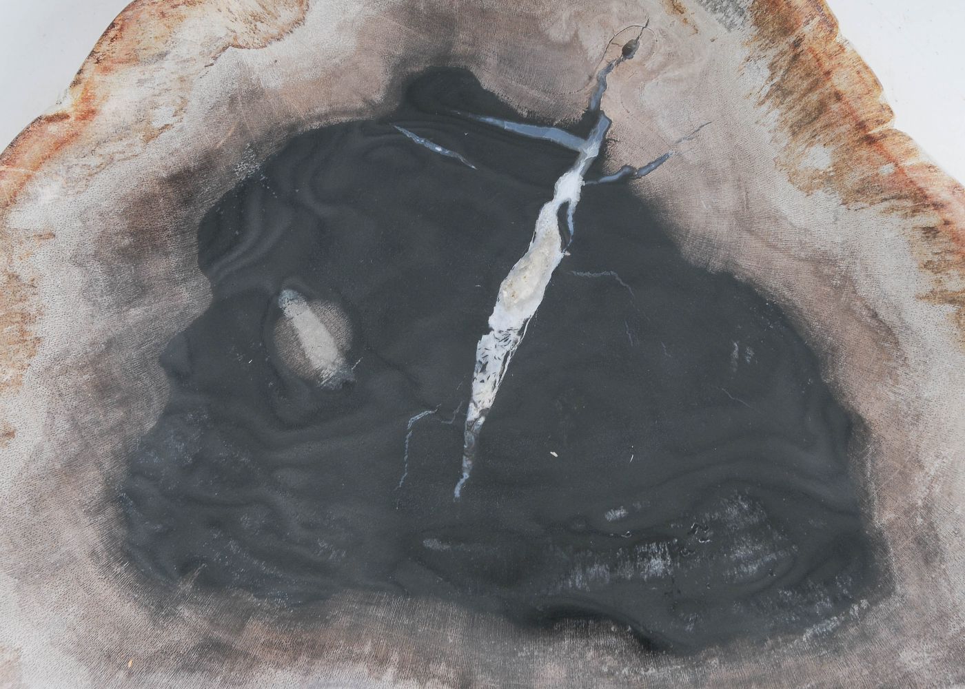 Bord versteend hout 57302 - Afbeelding 2