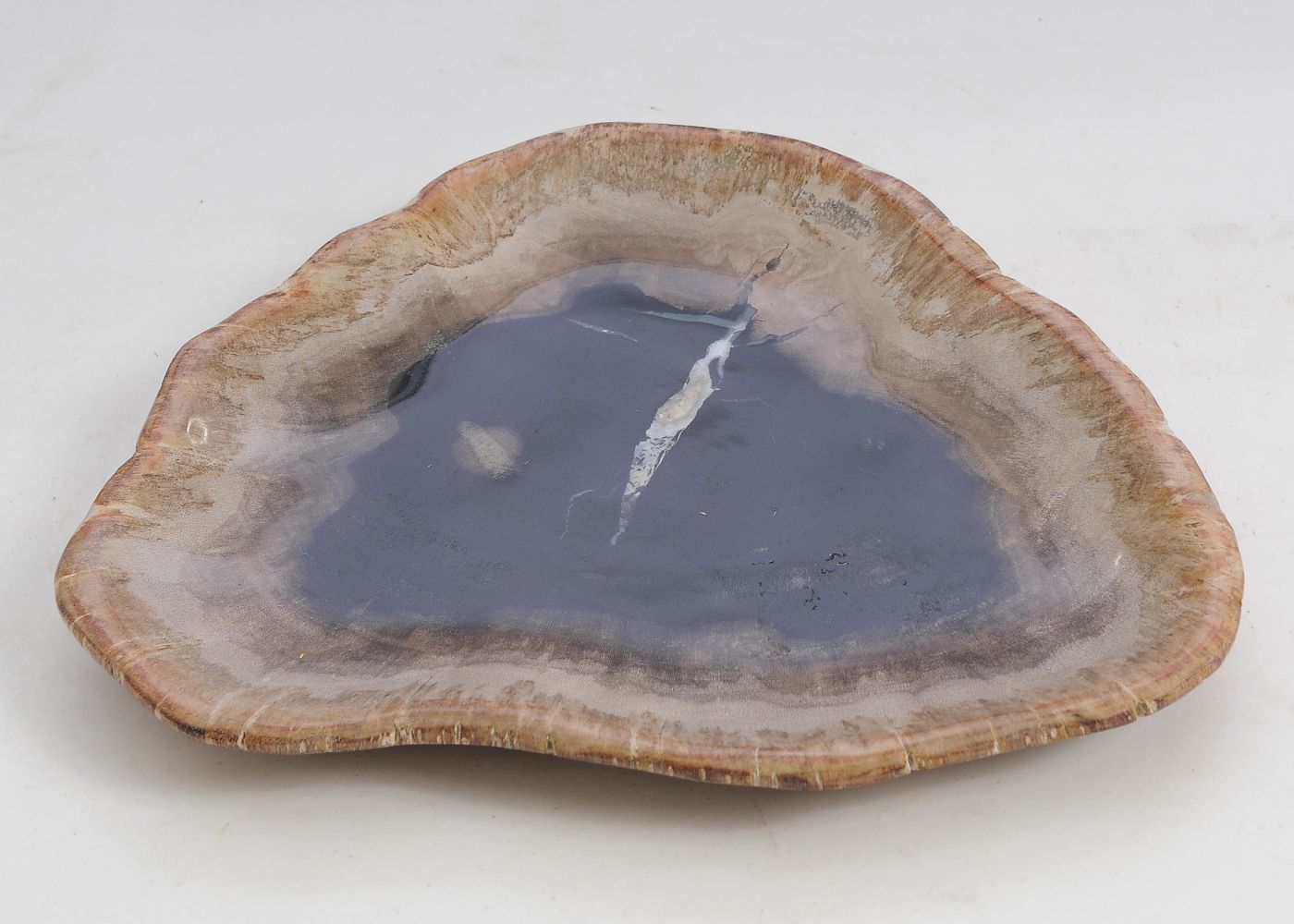 Bord versteend hout 57302 - Afbeelding 3