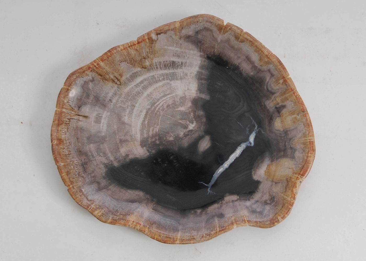 Bord versteend hout 57303