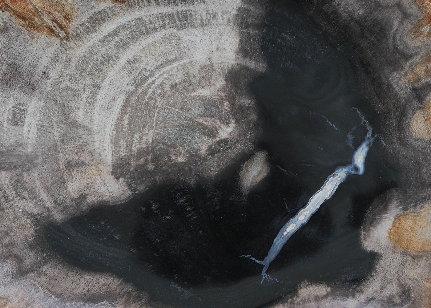 Bord versteend hout 57303 - Afbeelding 2