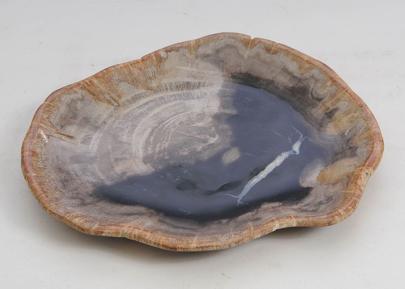 Bord versteend hout 57303 - Afbeelding 3