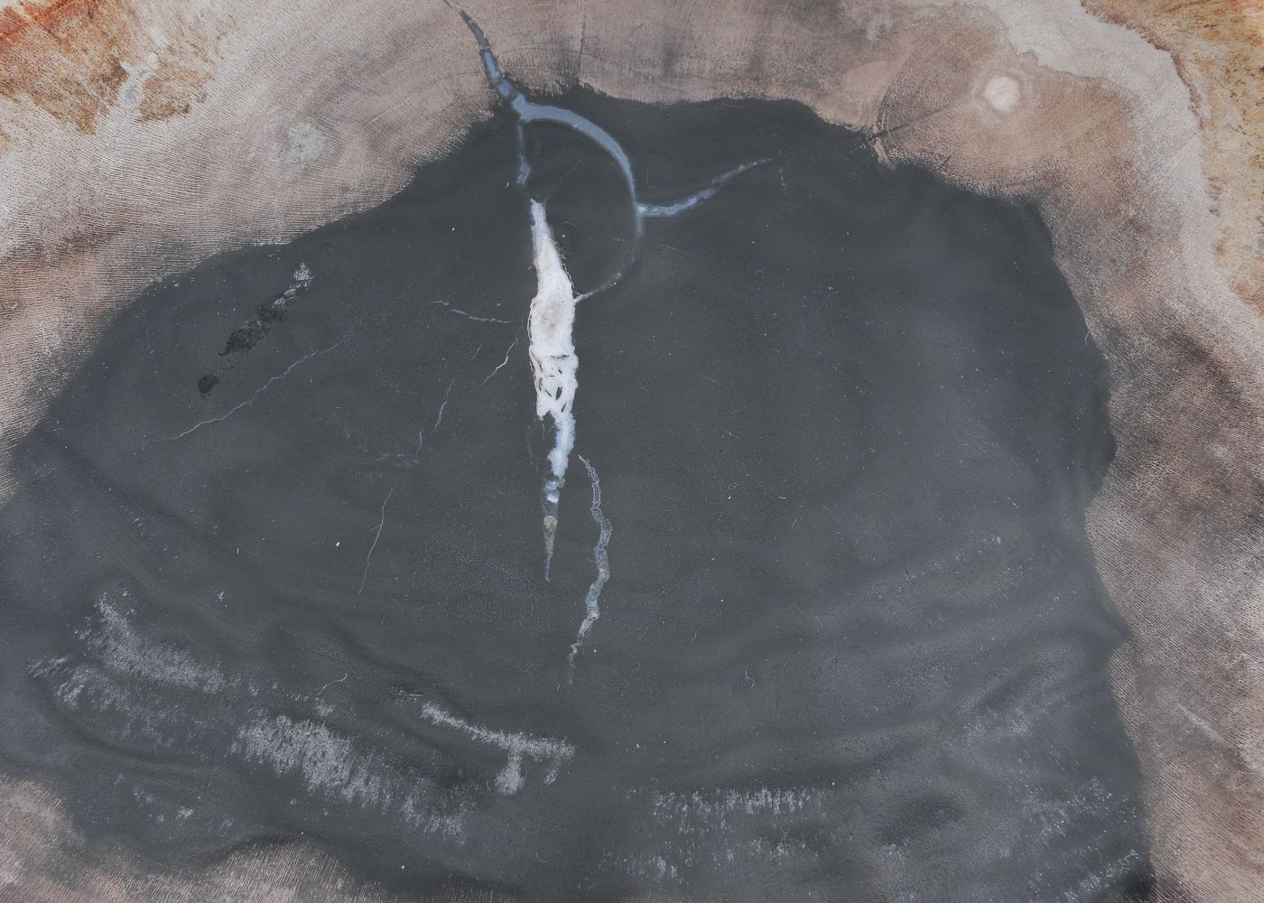 Bord versteend hout 57304 - Afbeelding 2