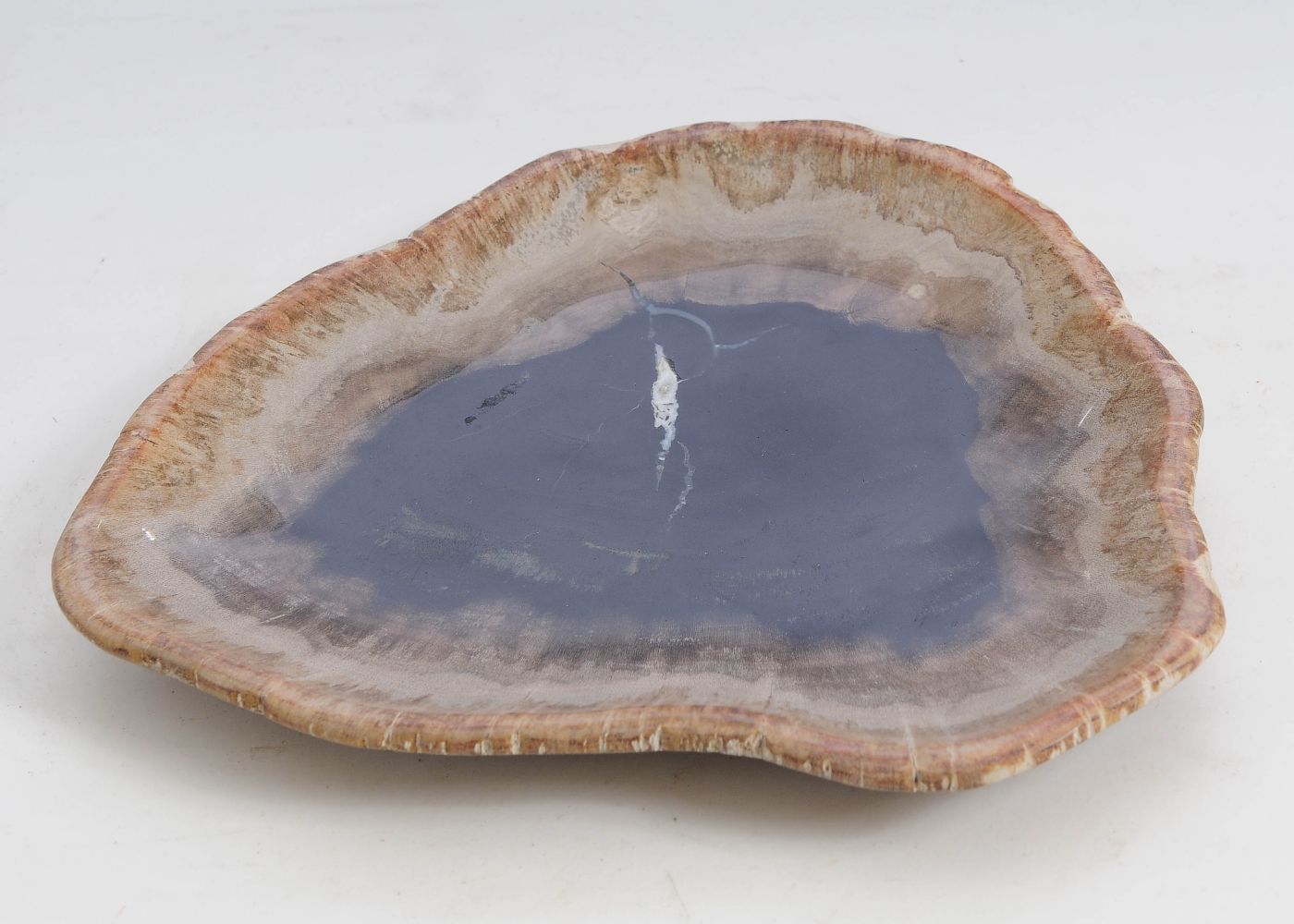 Bord versteend hout 57304 - Afbeelding 3