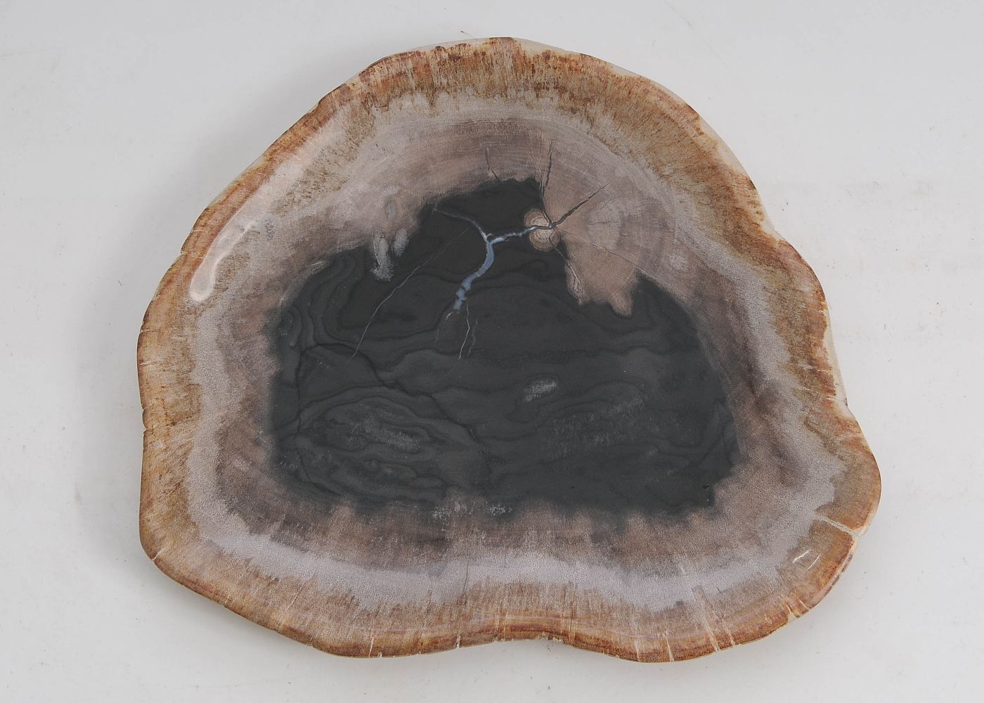 Bord versteend hout 57305