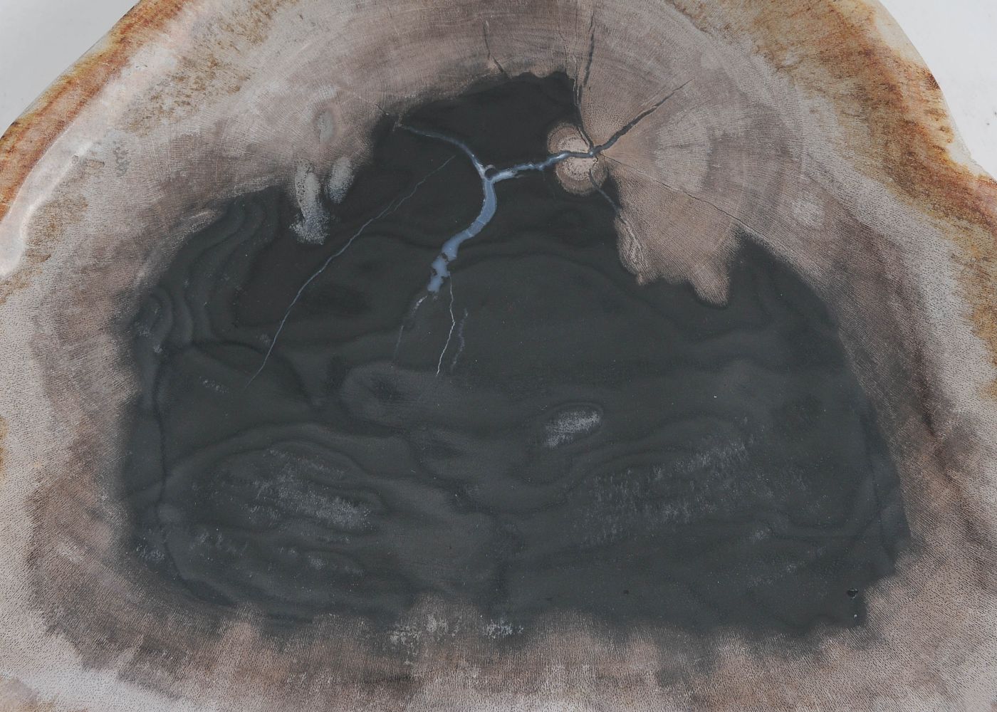 Bord versteend hout 57305 - Afbeelding 2