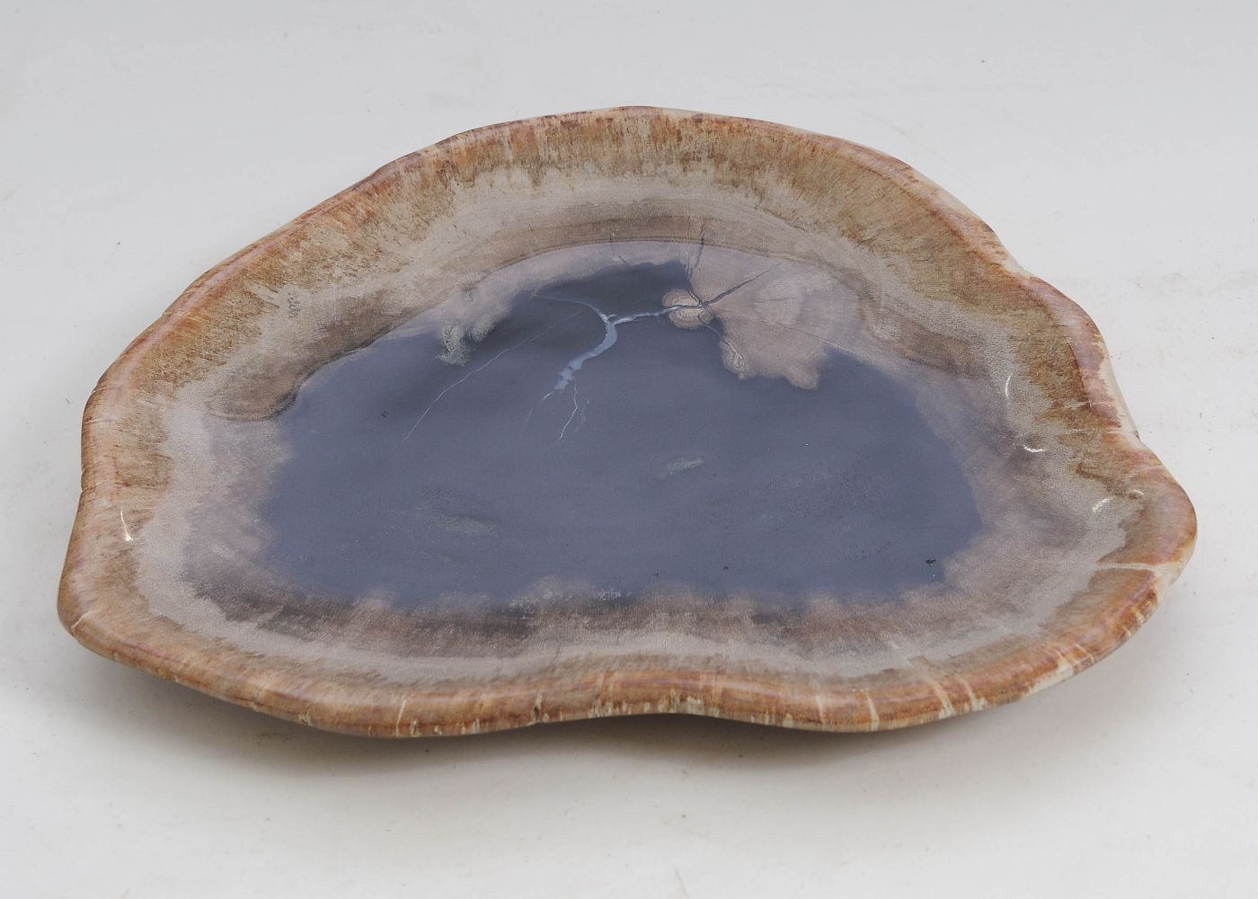 Bord versteend hout 57305 - Afbeelding 3