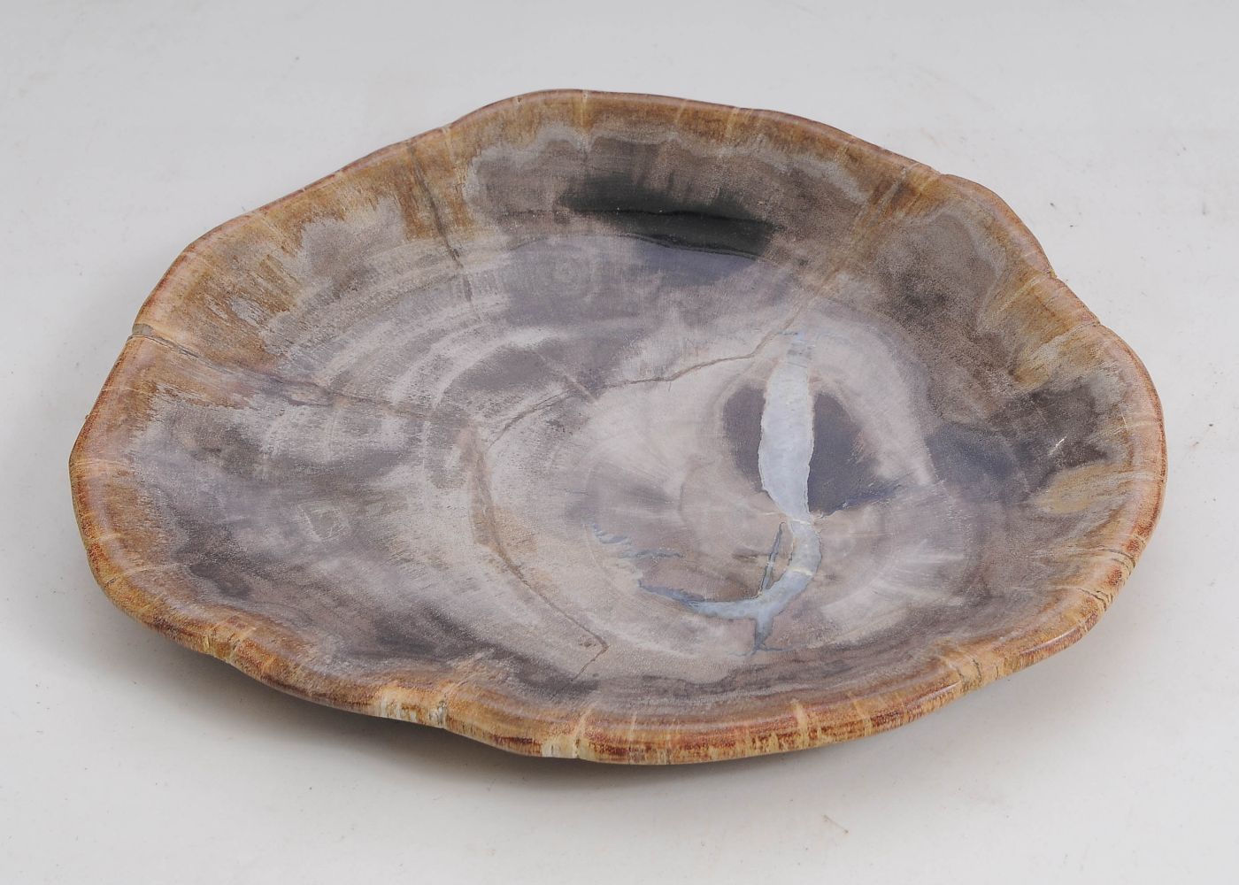 Bord versteend hout 57306 - Afbeelding 3