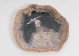 Bord versteend hout 57307