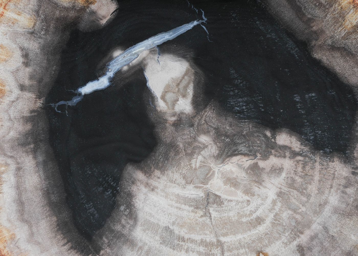 Bord versteend hout 57307 - Afbeelding 2