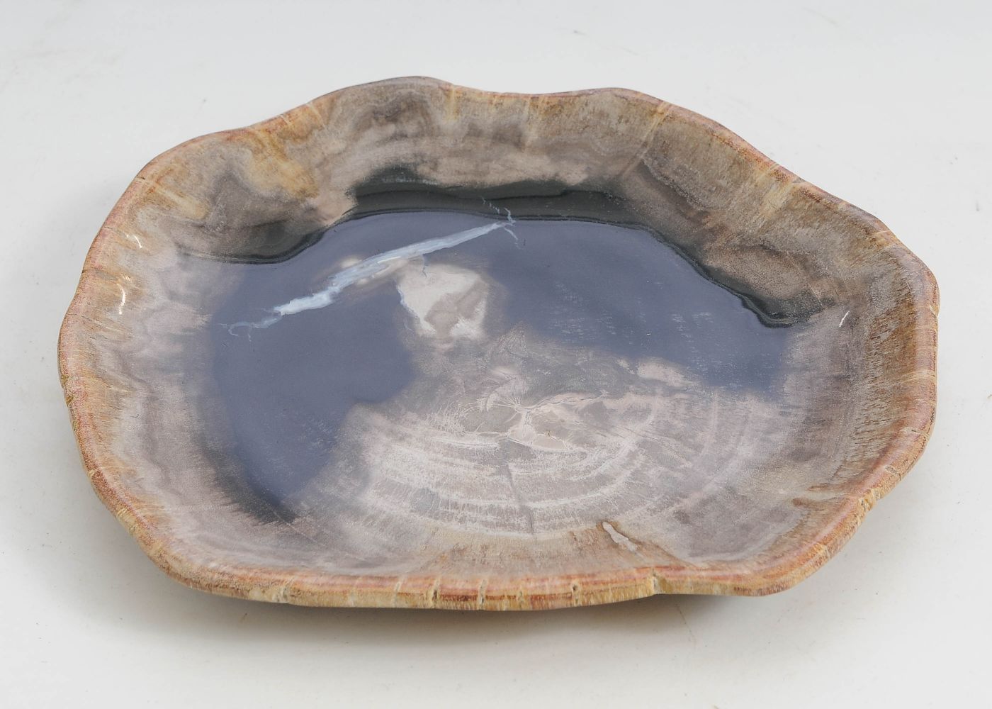 Bord versteend hout 57307 - Afbeelding 3