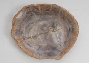 Bord versteend hout 57309