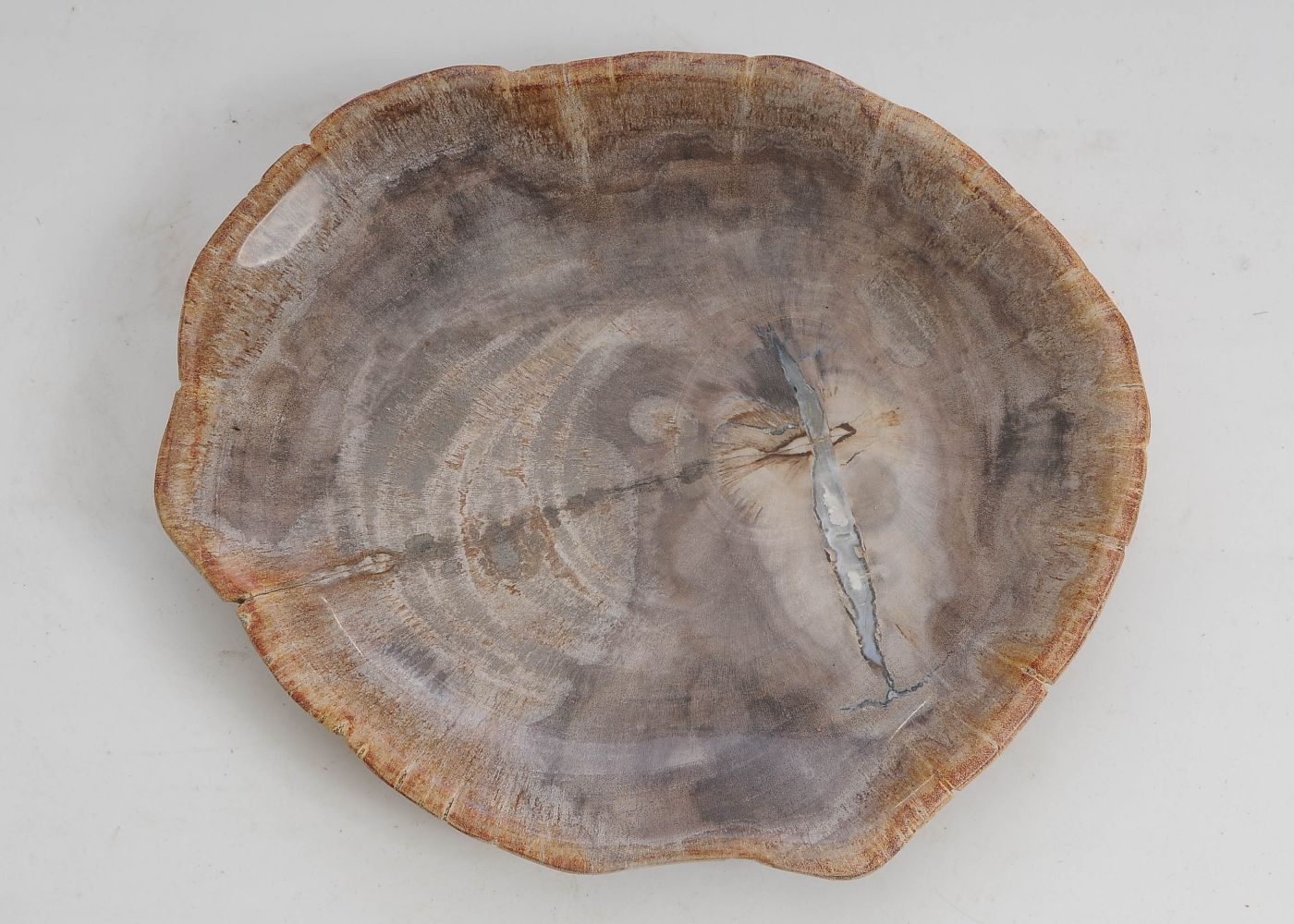 Bord versteend hout 57309