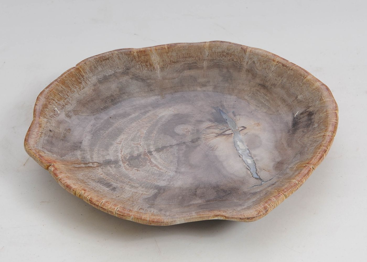 Bord versteend hout 57309 - Afbeelding 3