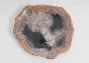 Bord versteend hout 57310