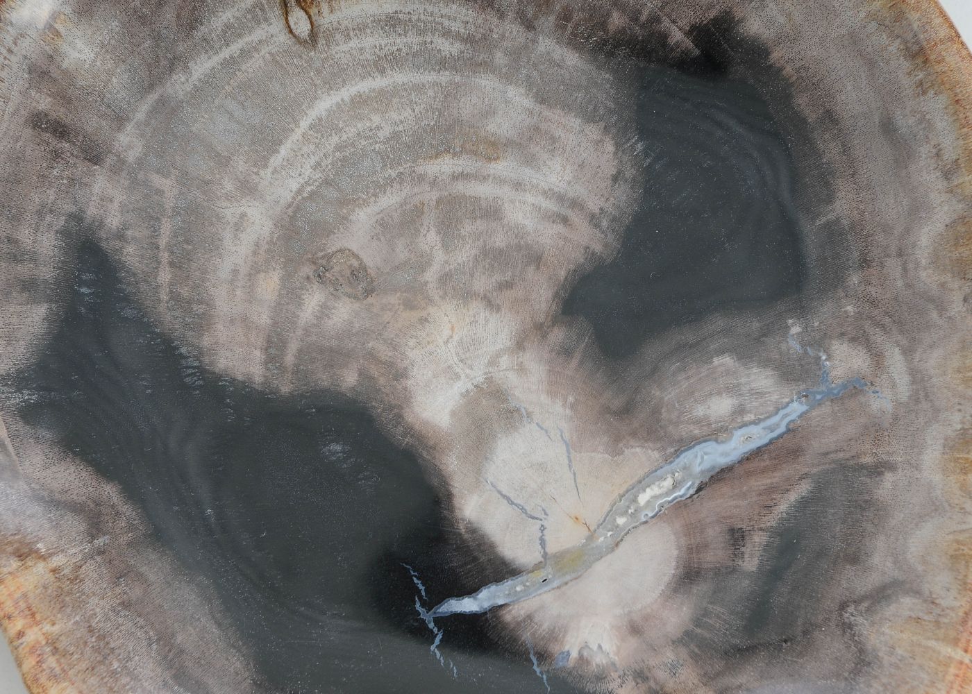 Bord versteend hout 57310 - Afbeelding 2