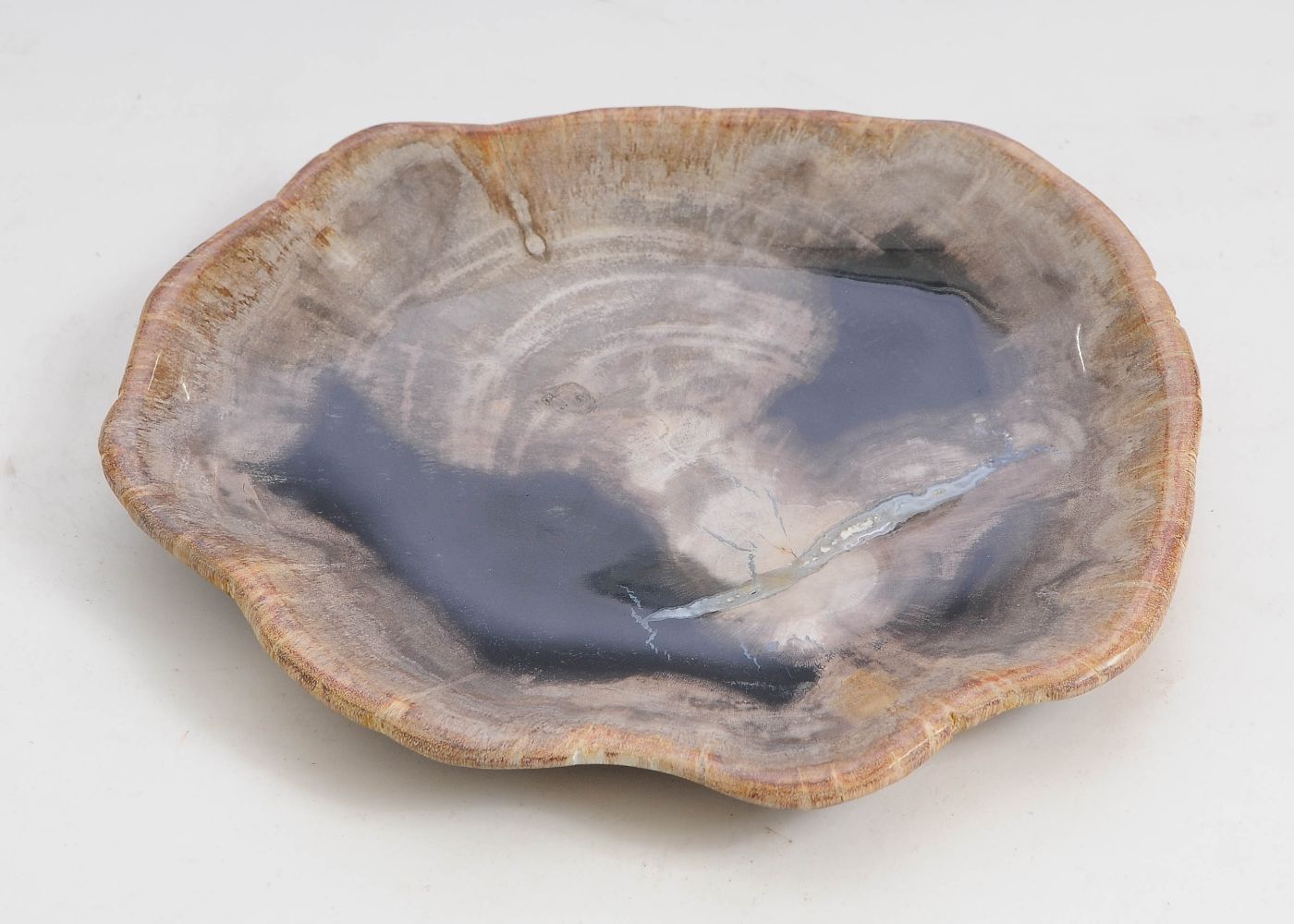 Bord versteend hout 57310 - Afbeelding 3