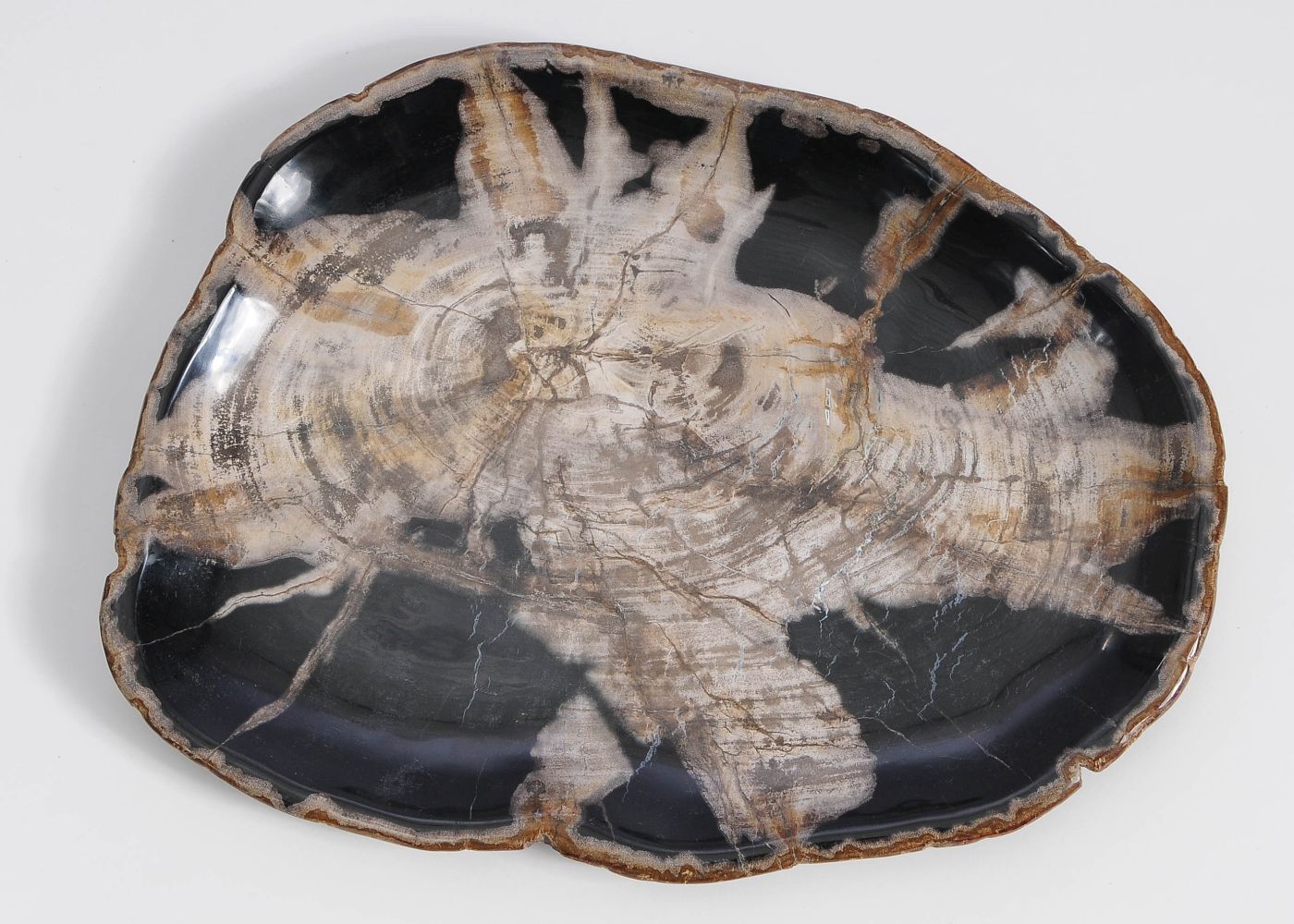 Bord versteend hout 59113