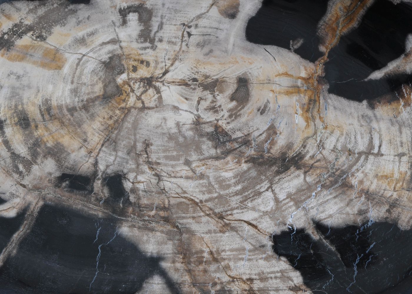 Bord versteend hout 59113 - Afbeelding 2