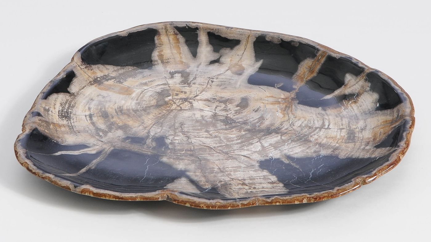 Bord versteend hout 59113 - Afbeelding 3