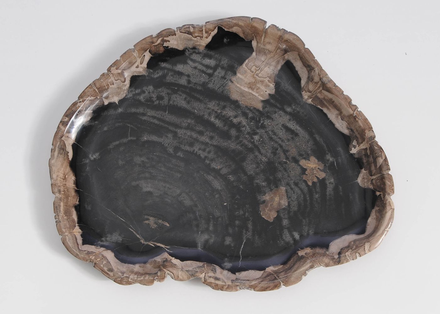 Bord versteend hout 59115