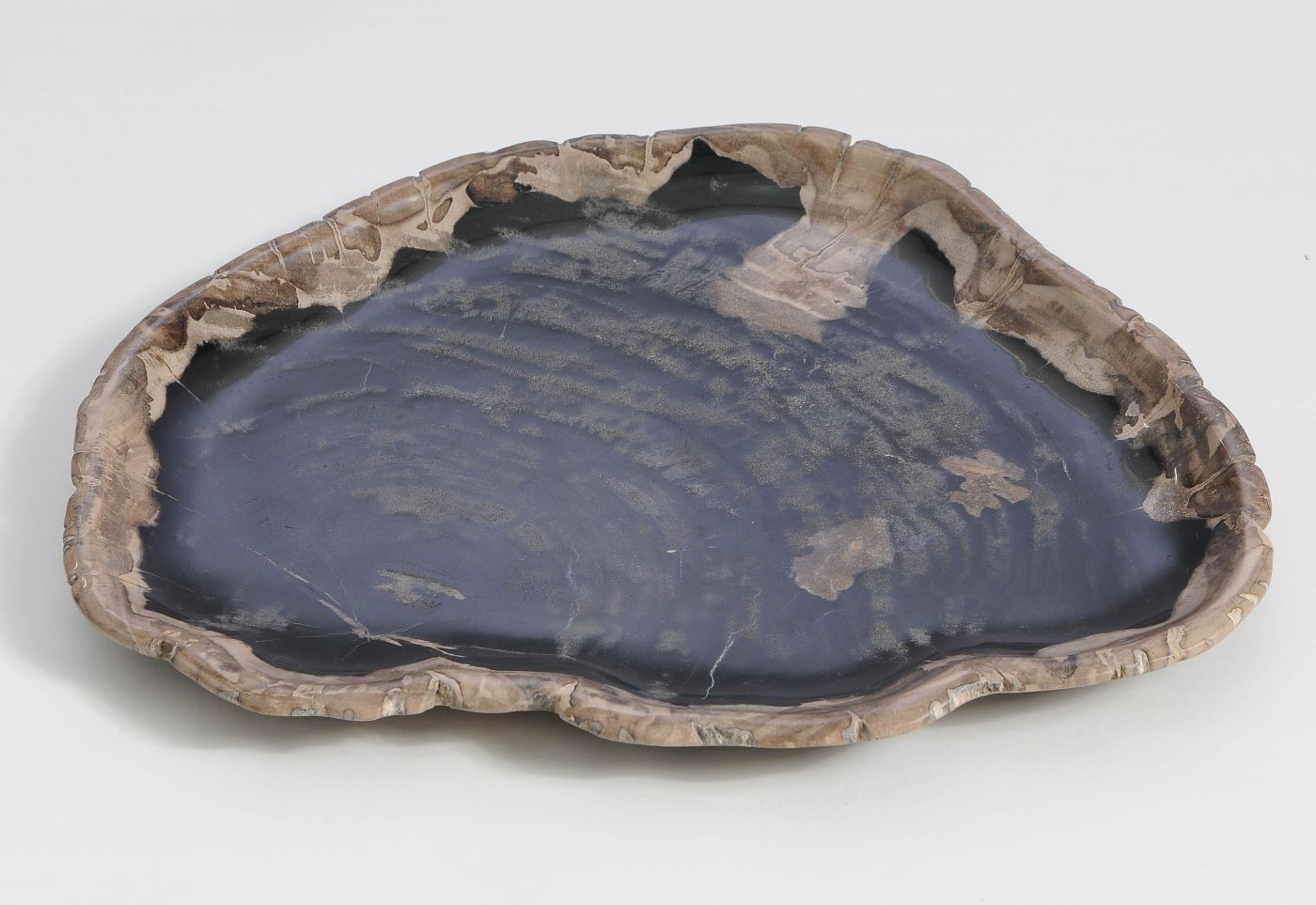 Bord versteend hout 59115 - Afbeelding 3