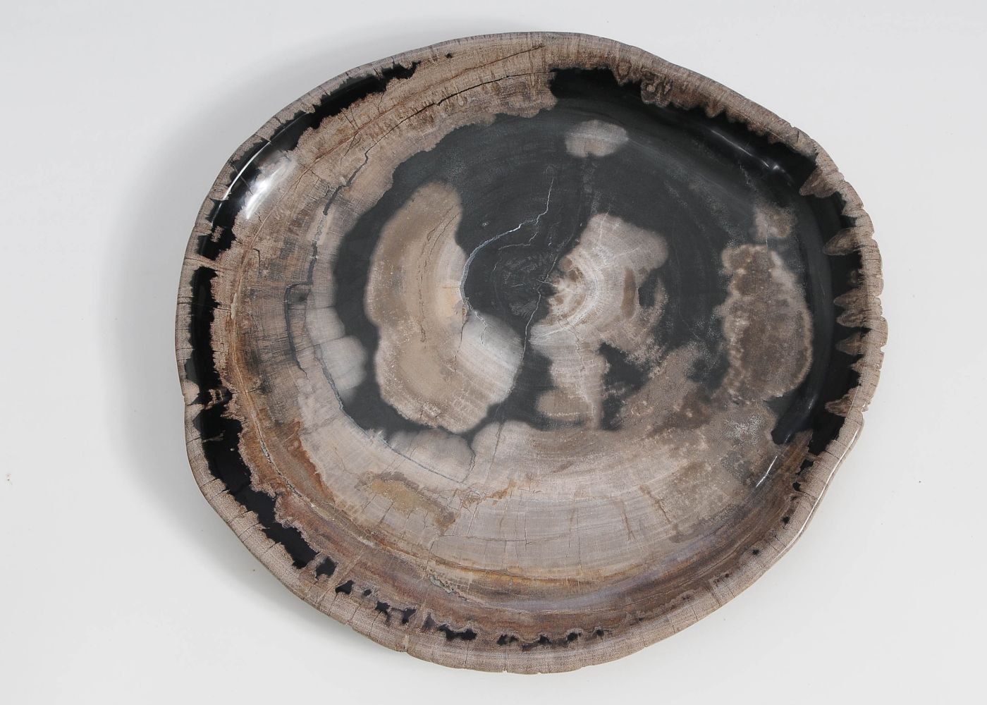 Bord versteend hout 59117