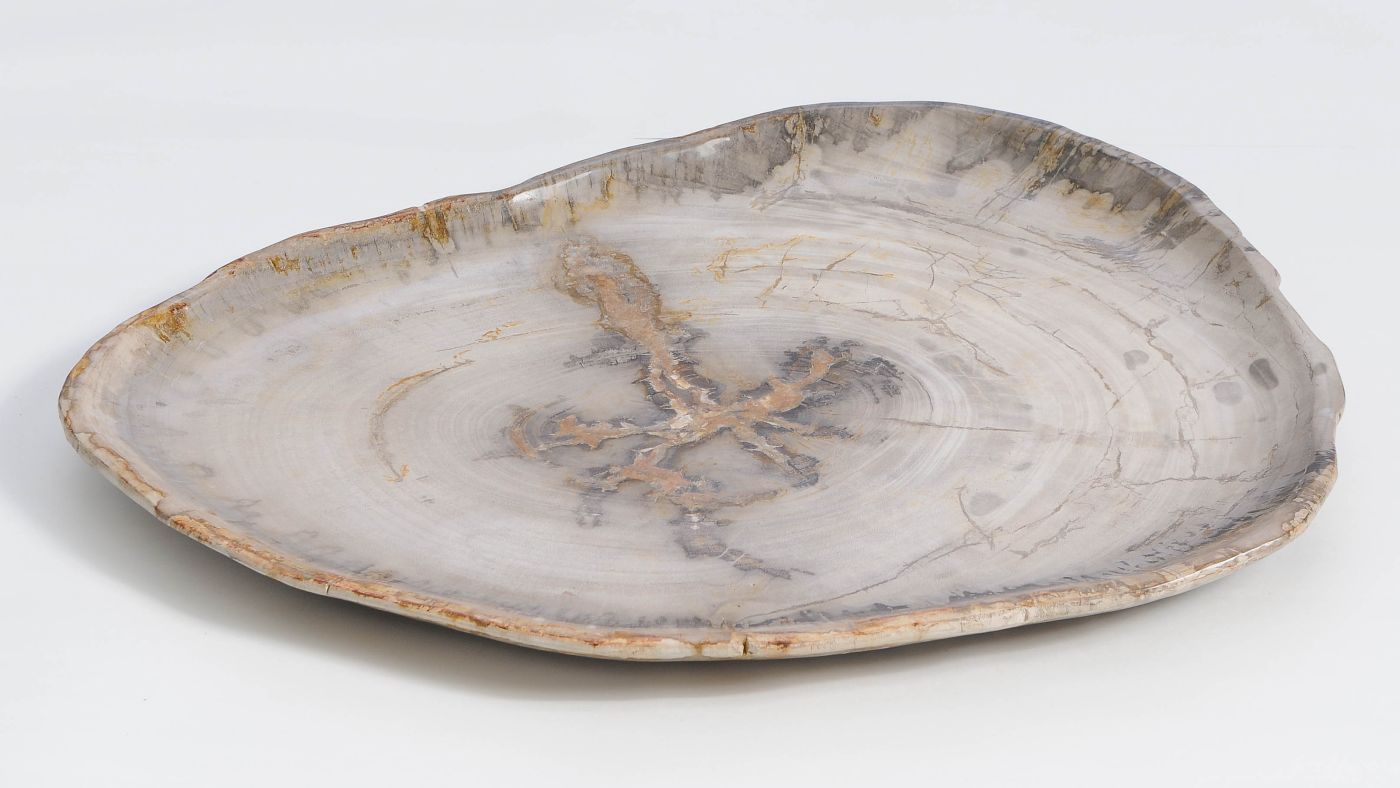 Bord versteend hout 59121 - Afbeelding 3