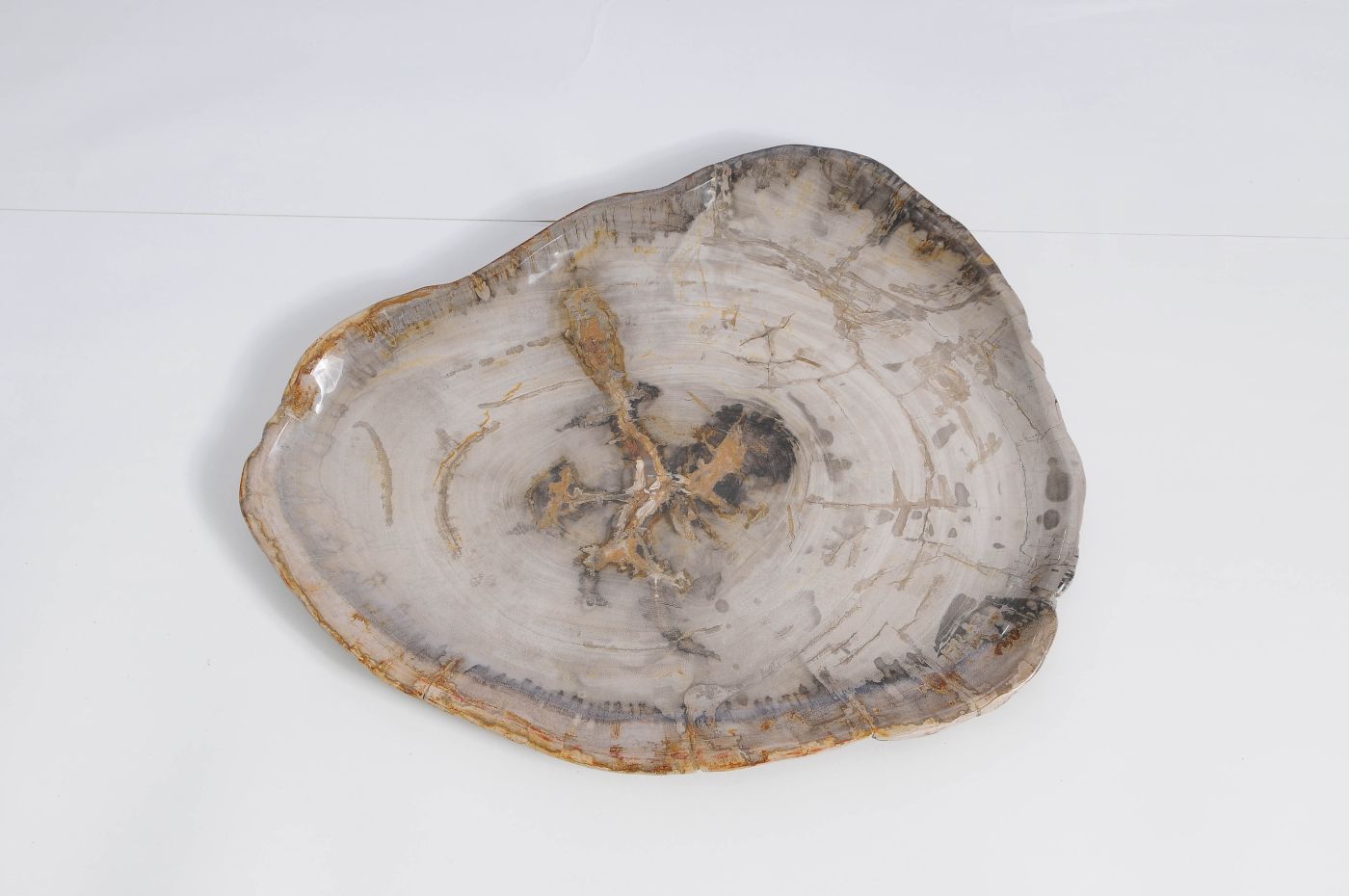 Bord versteend hout 59122