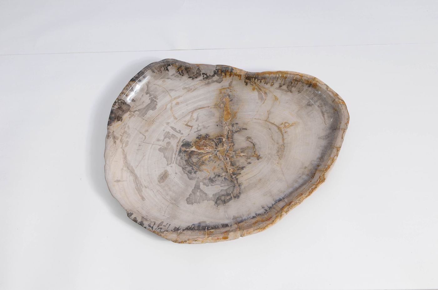 Bord versteend hout 59123