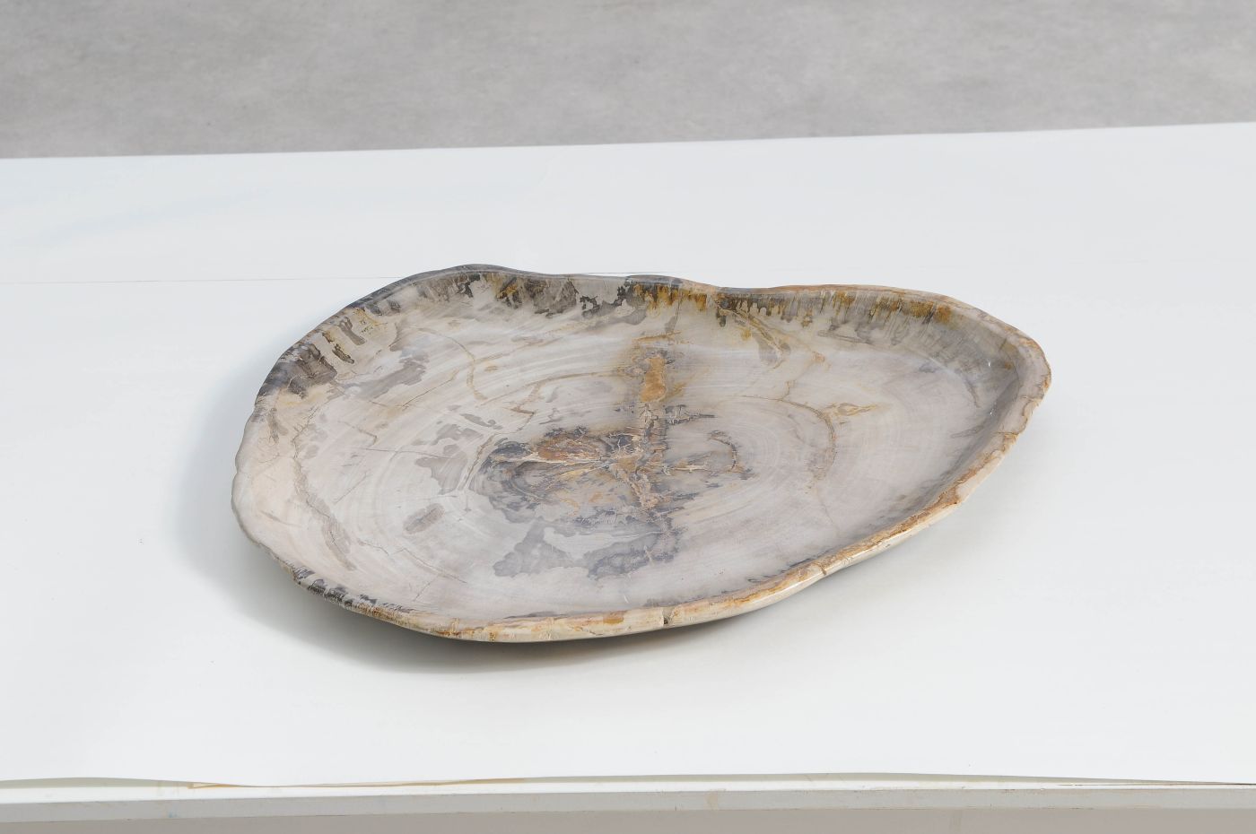 Bord versteend hout 59123 - Afbeelding 3