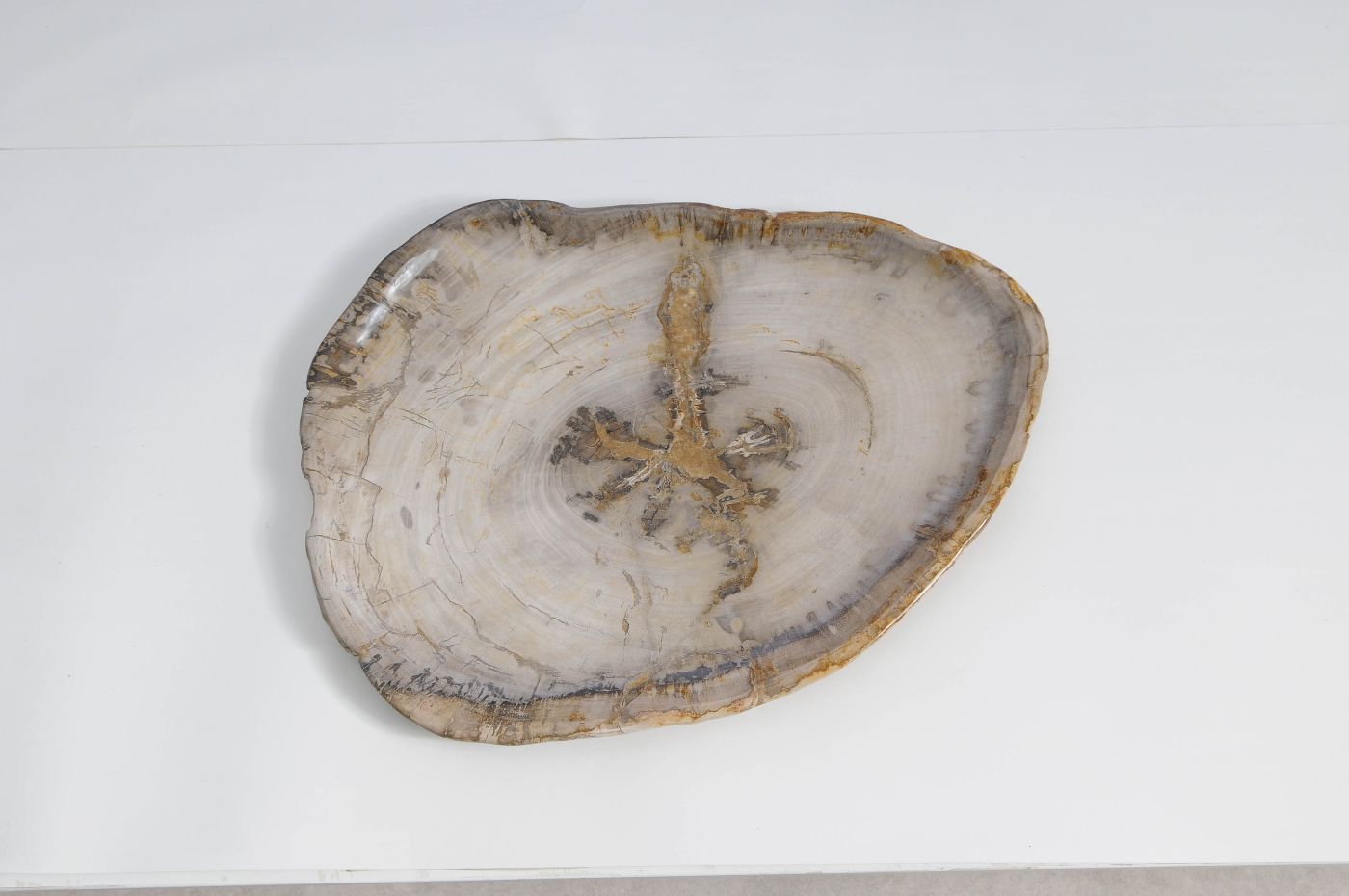 Bord versteend hout 59126