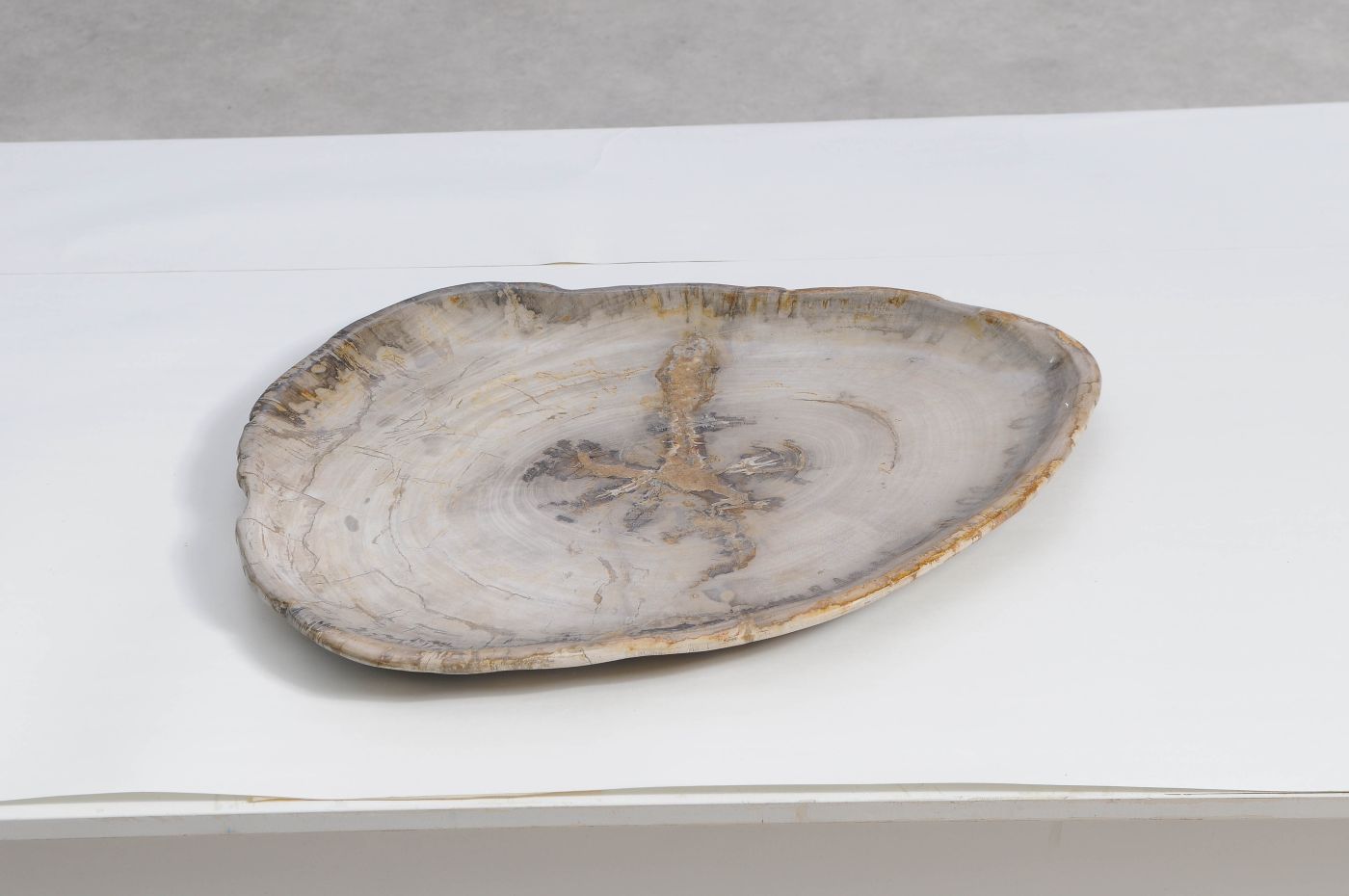 Bord versteend hout 59126 - Afbeelding 3