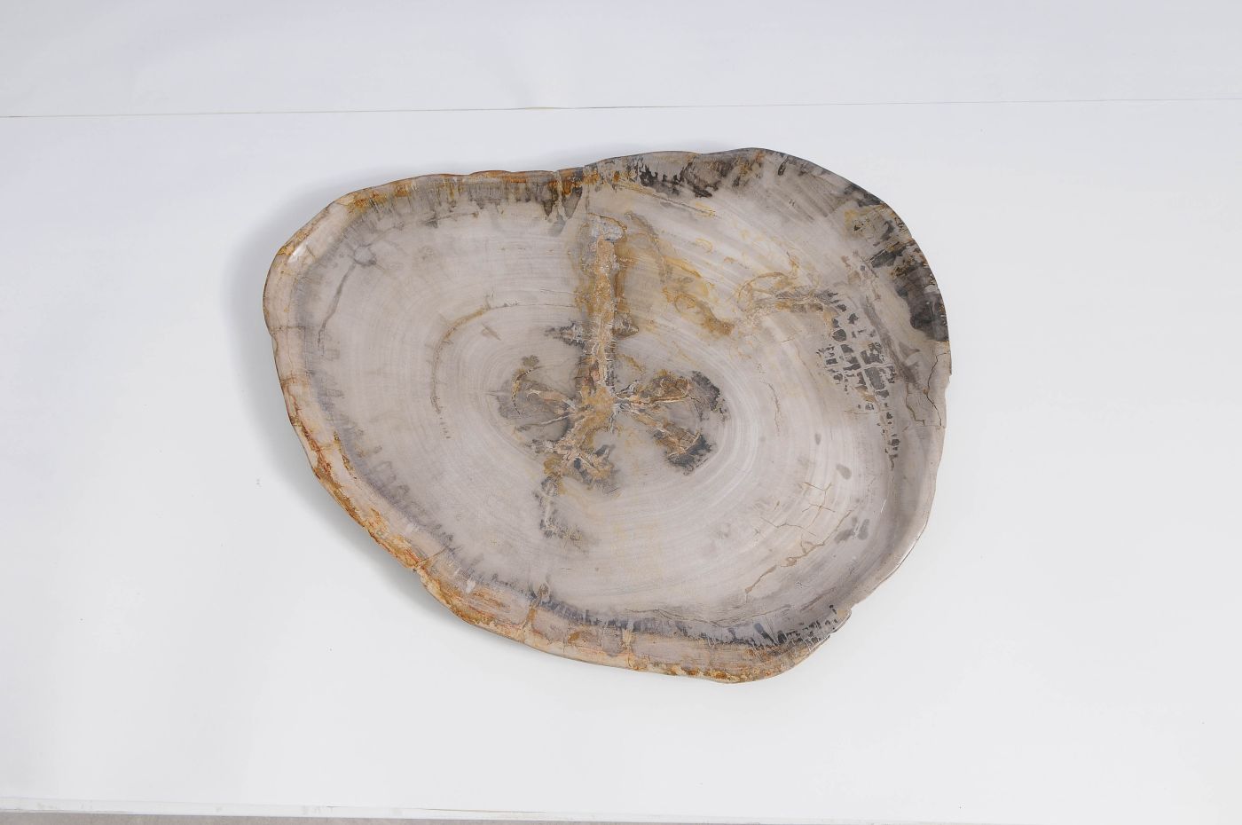 Bord versteend hout 59127