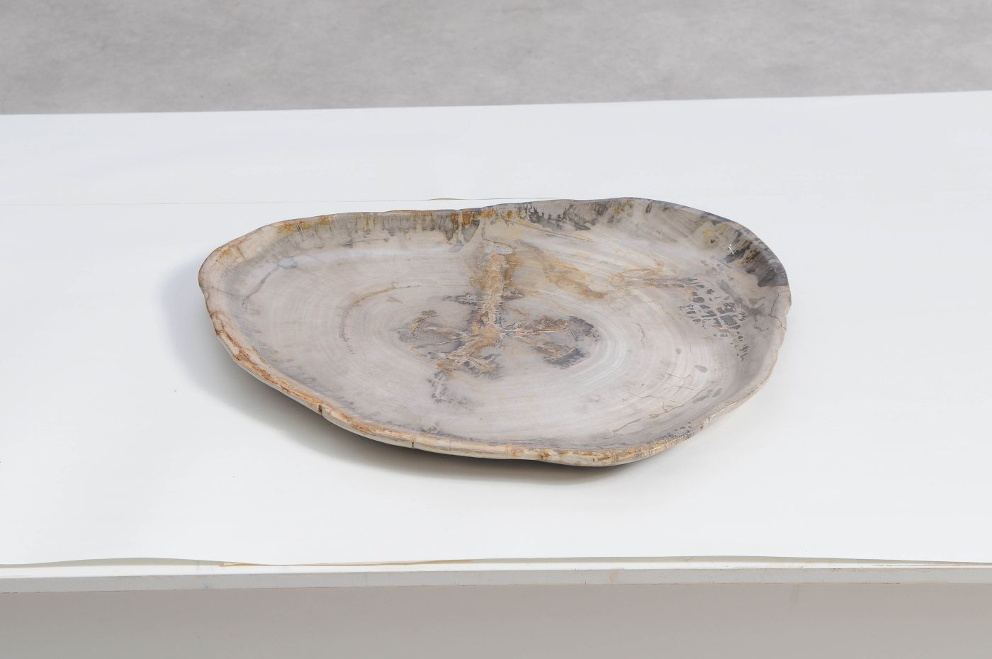 Bord versteend hout 59127 - Afbeelding 3