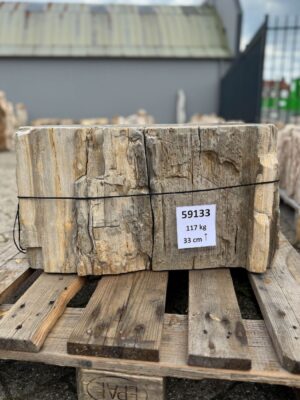 Grafsteen versteend hout 59133