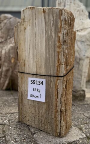 Grafsteen versteend hout 59134