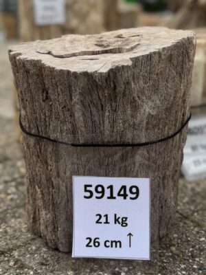 Grafsteen versteend hout 59149