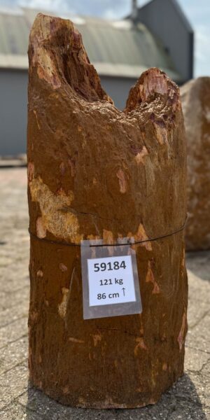 Grafsteen versteend hout 59184