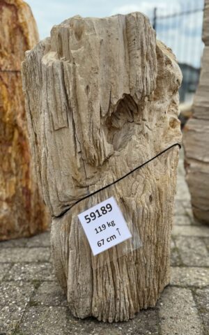 Grafsteen versteend hout 59189