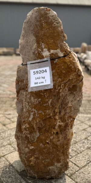 Grafsteen versteend hout 59204