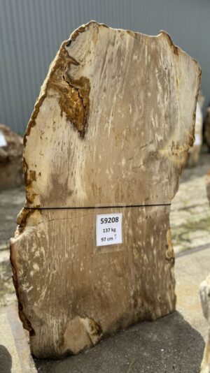 Grafsteen versteend hout 59208