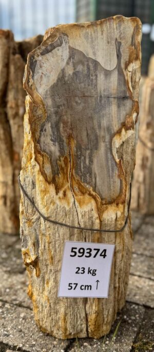 Grafsteen versteend hout 59374