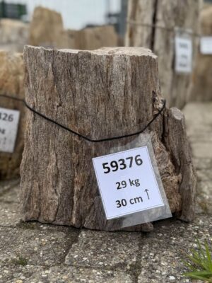 Grafsteen versteend hout 59376